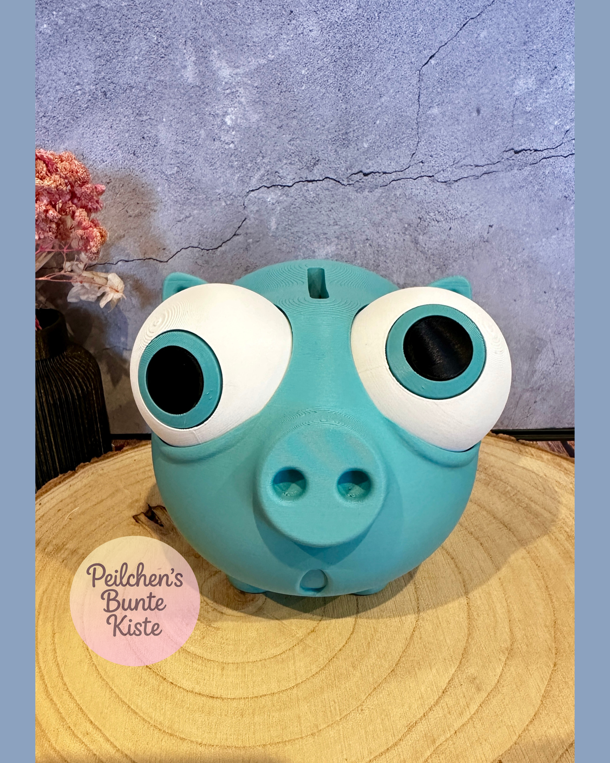 Lustiges Sparschwein mit verstellbaren Augen – Geschenkidee