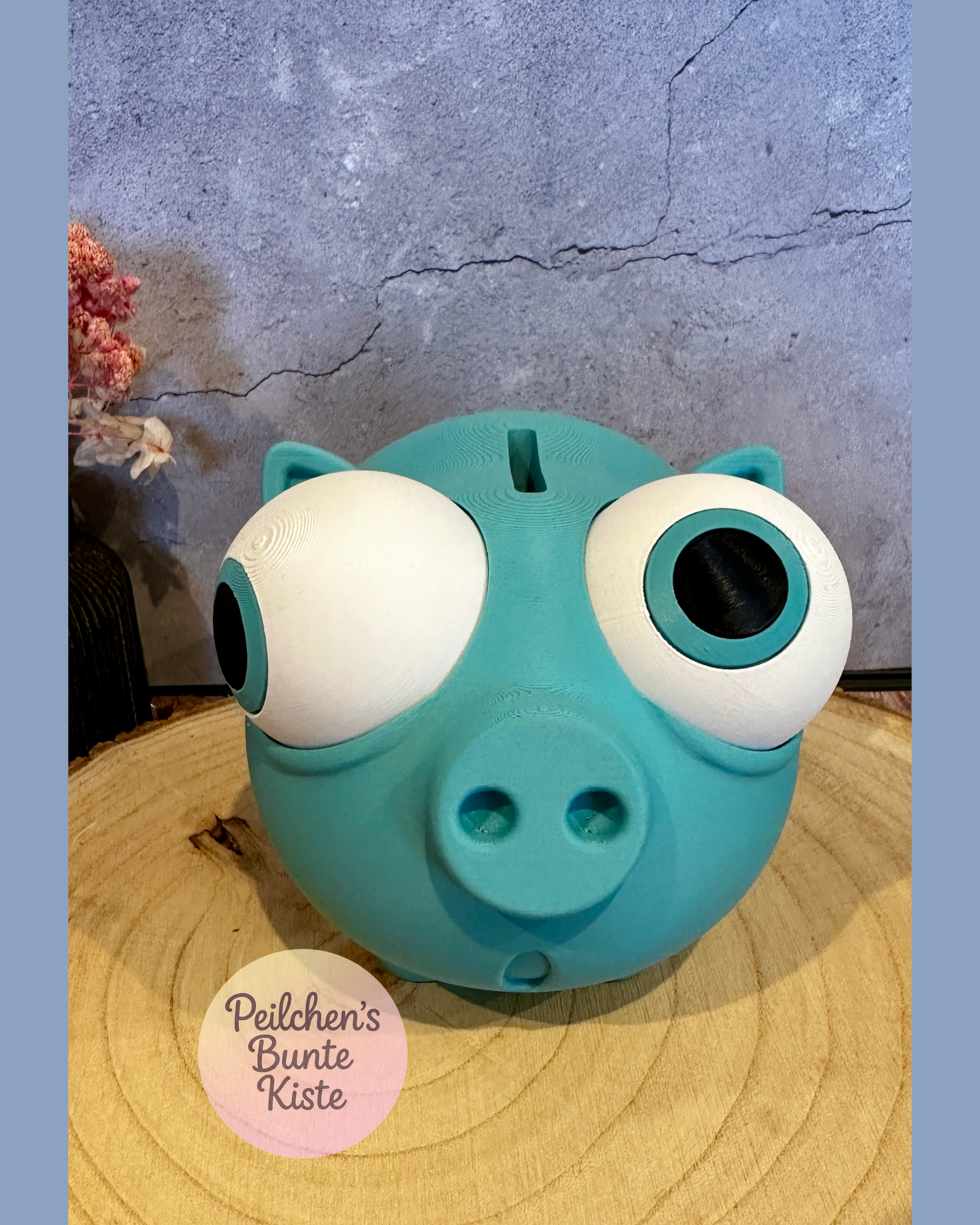 Lustiges Sparschwein mit verstellbaren Augen – Geschenkidee