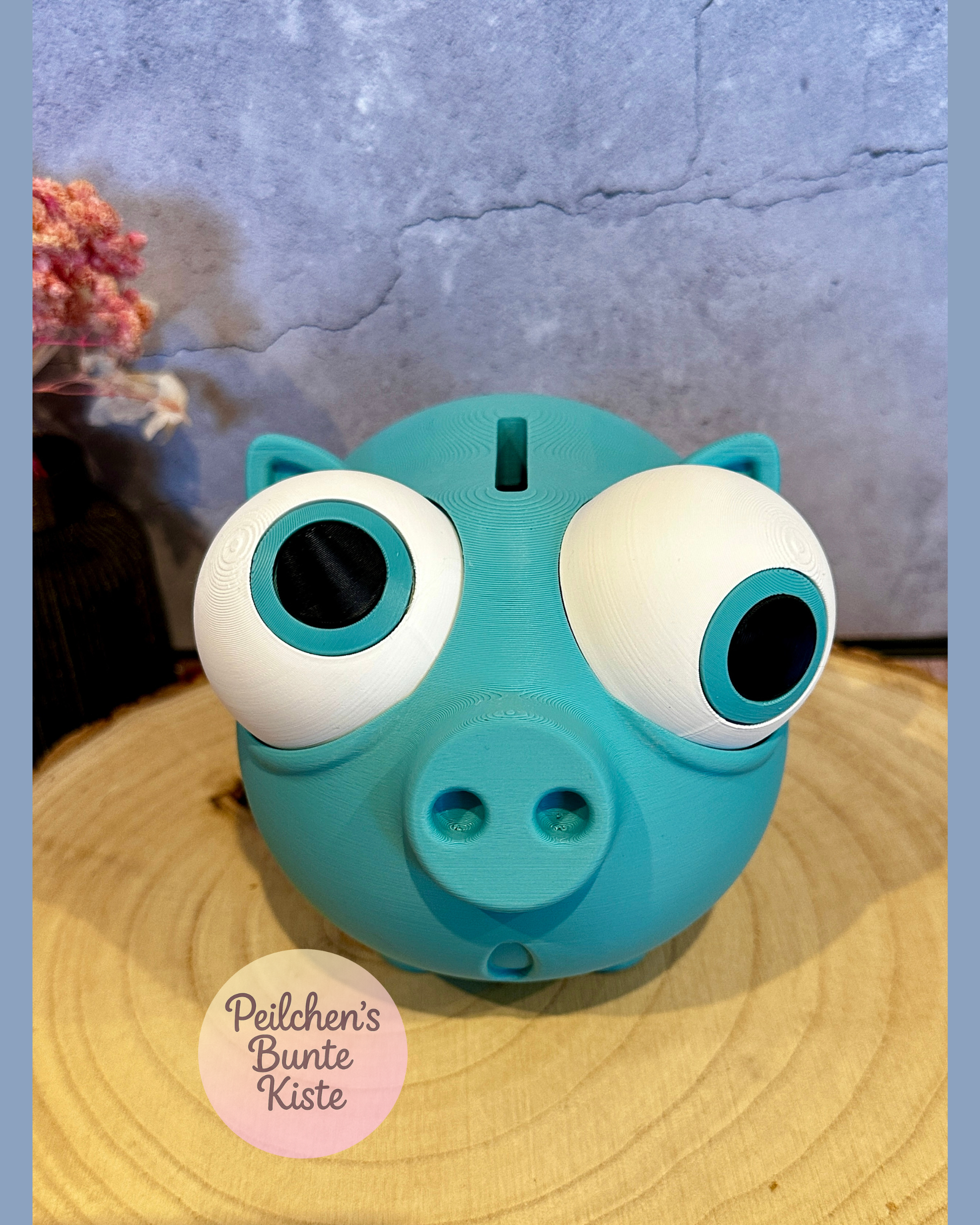 Lustiges Sparschwein mit verstellbaren Augen – Geschenkidee