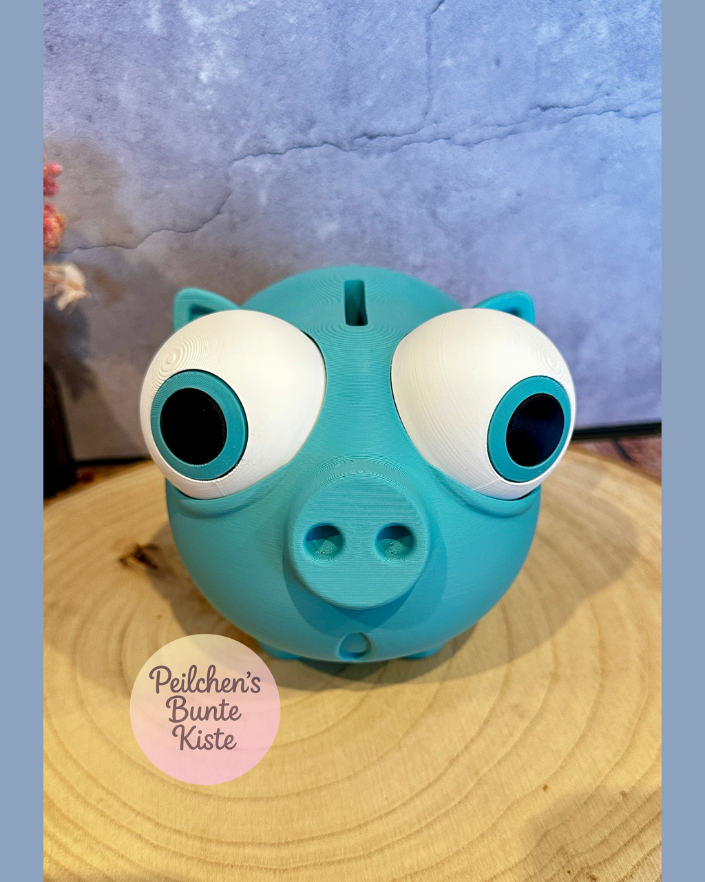 Lustiges Sparschwein mit verstellbaren Augen – Geschenkidee