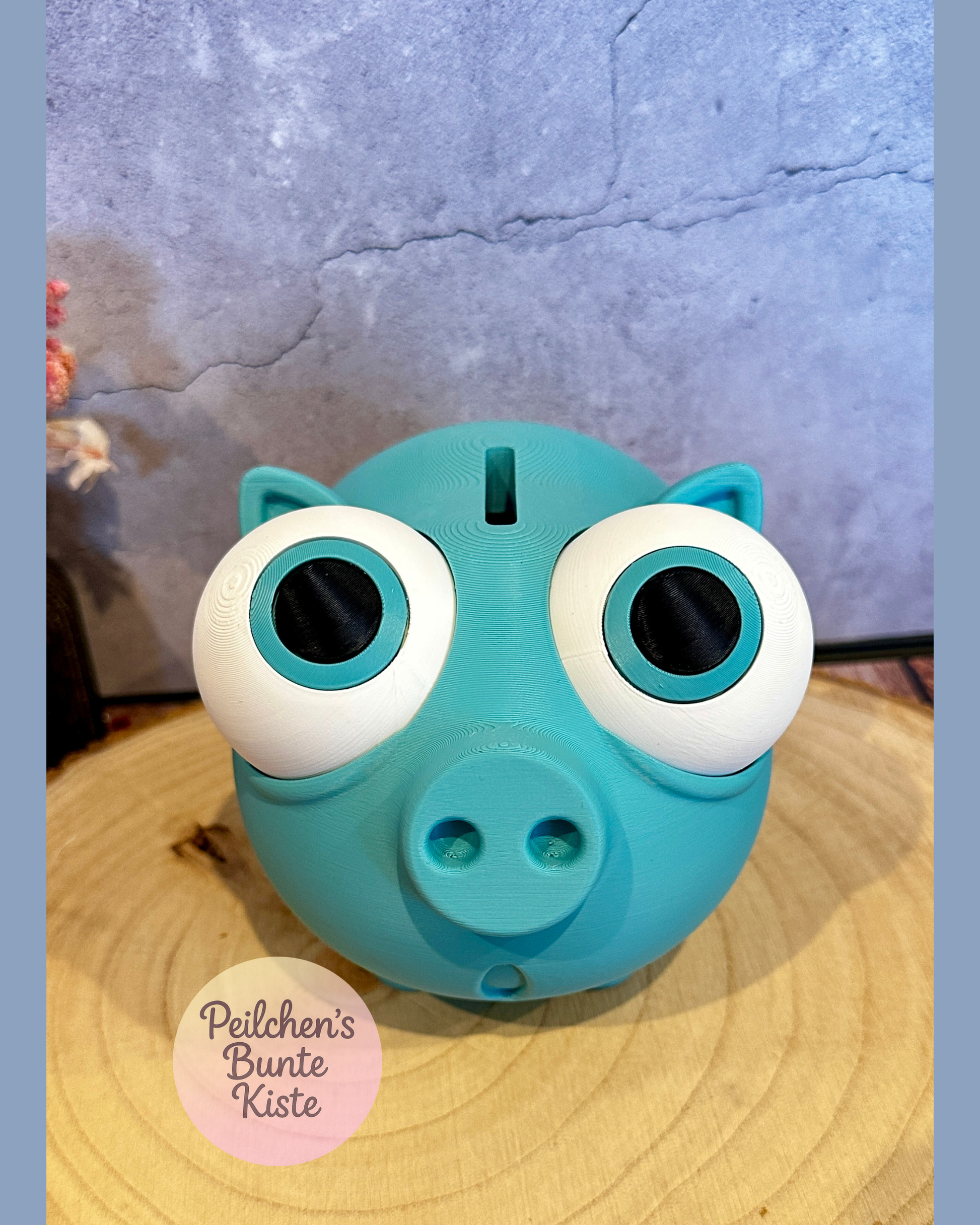 Lustiges Sparschwein mit verstellbaren Augen – Geschenkidee