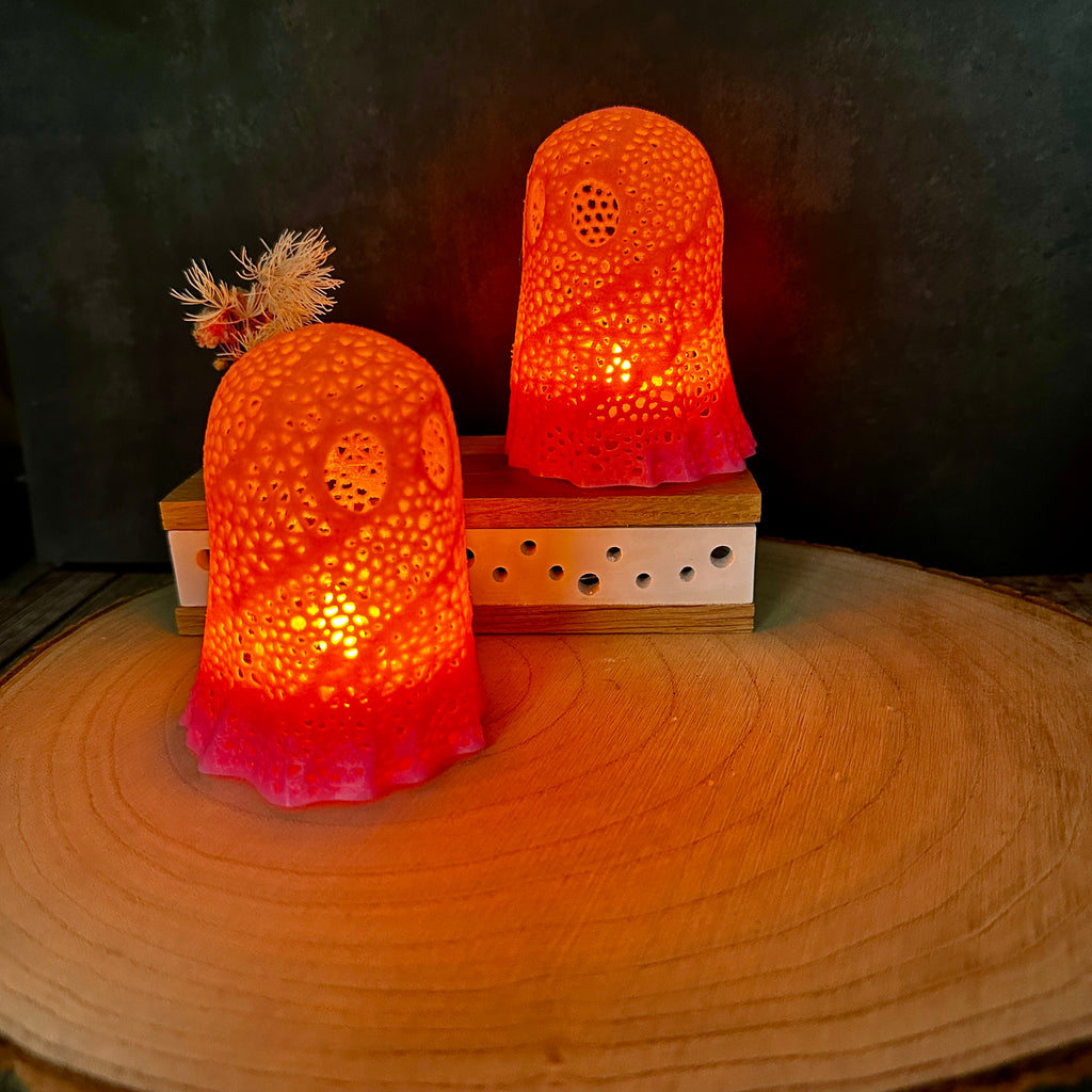Set van 2 roze spooklantaarns – Halloweenversiering, weerbestendig en uniek