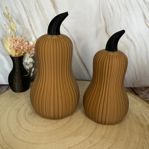 Pompoenenset in twee maten – moderne herfstdecoratie