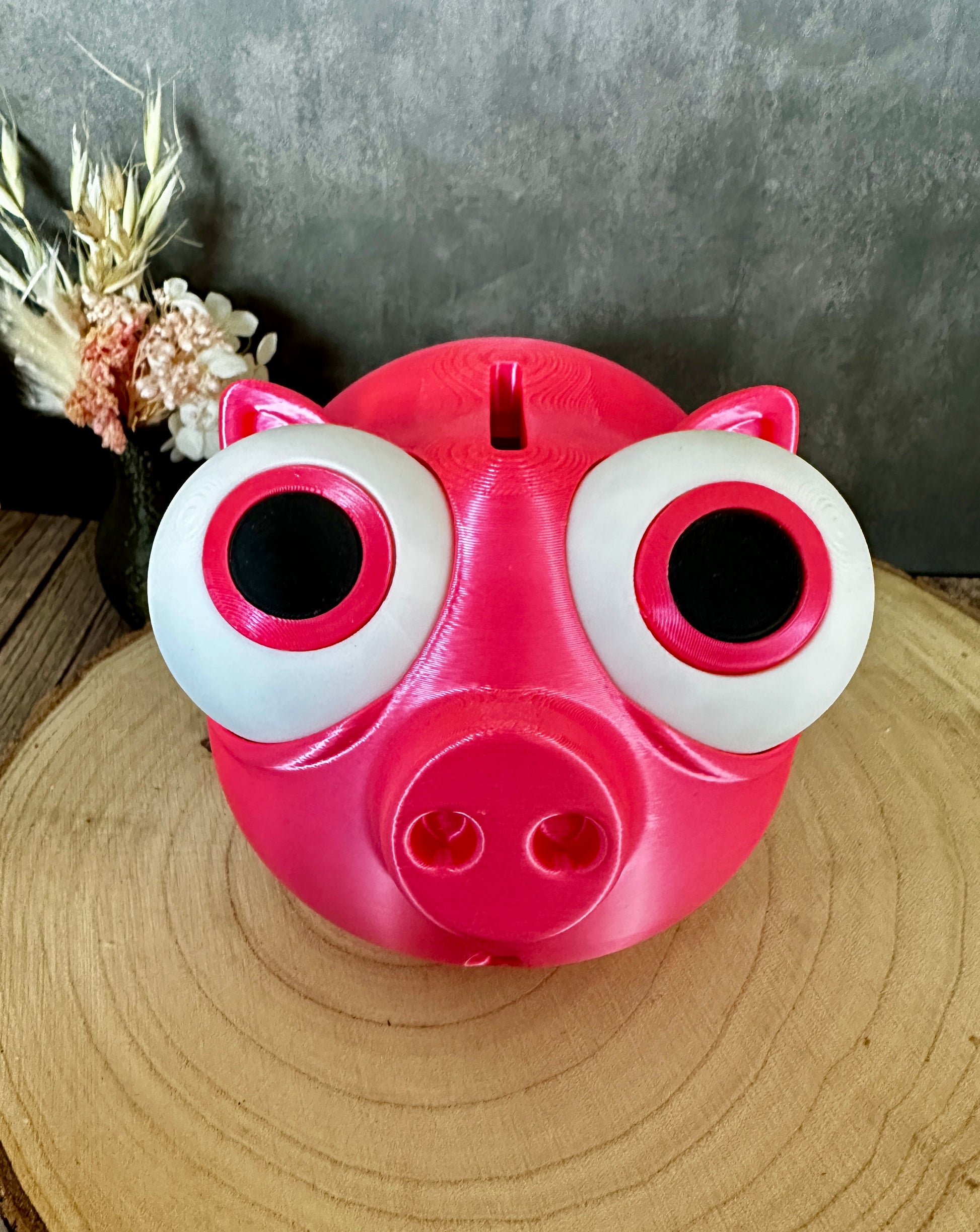 Lustiges Sparschwein mit verstellbaren Augen – Geschenkidee