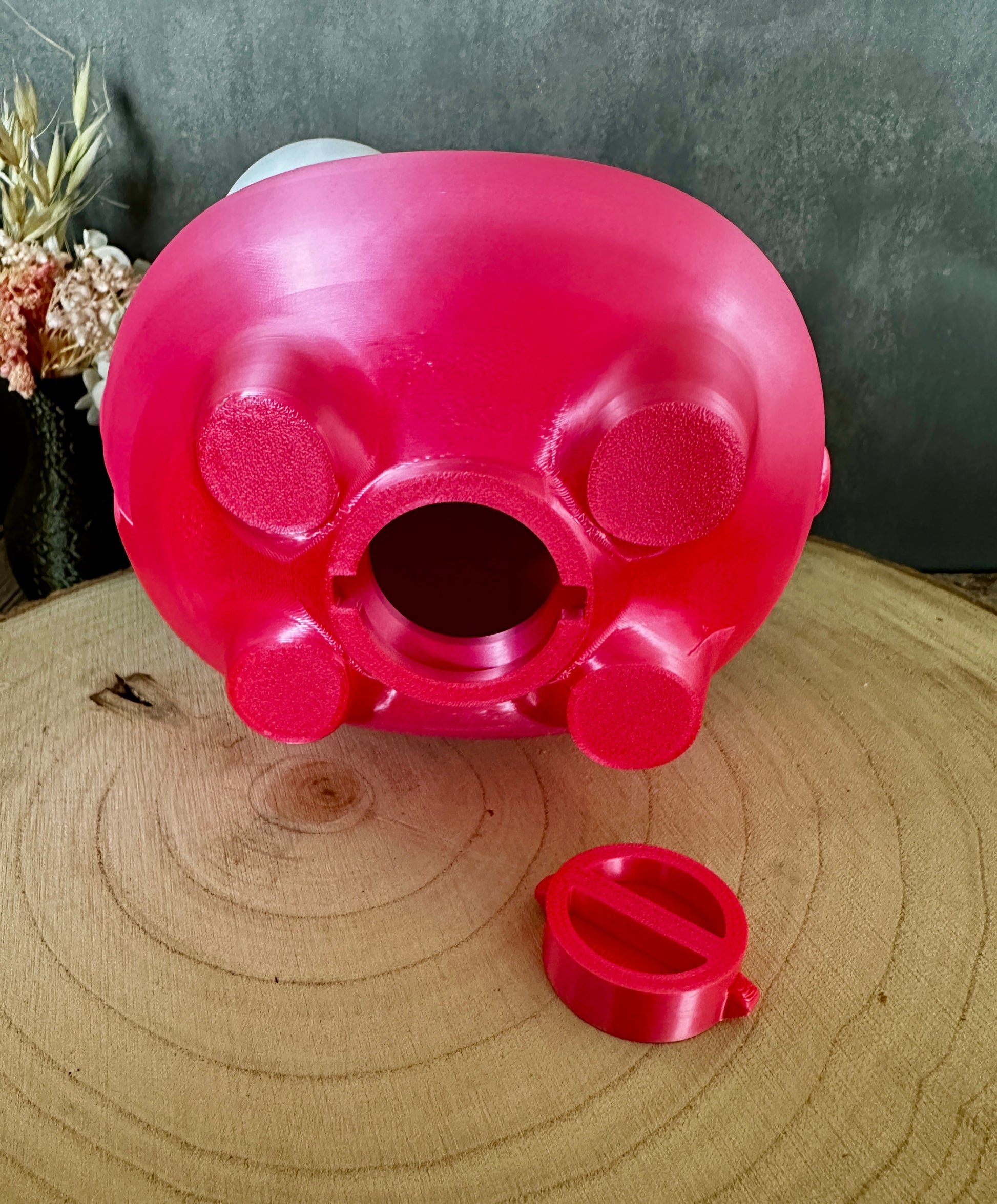 Lustiges Sparschwein mit verstellbaren Augen – Geschenkidee