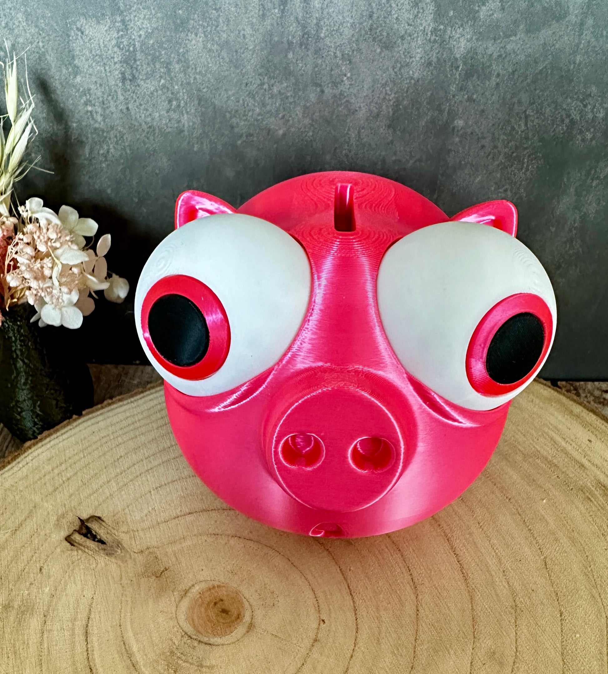 Lustiges Sparschwein mit verstellbaren Augen – Geschenkidee