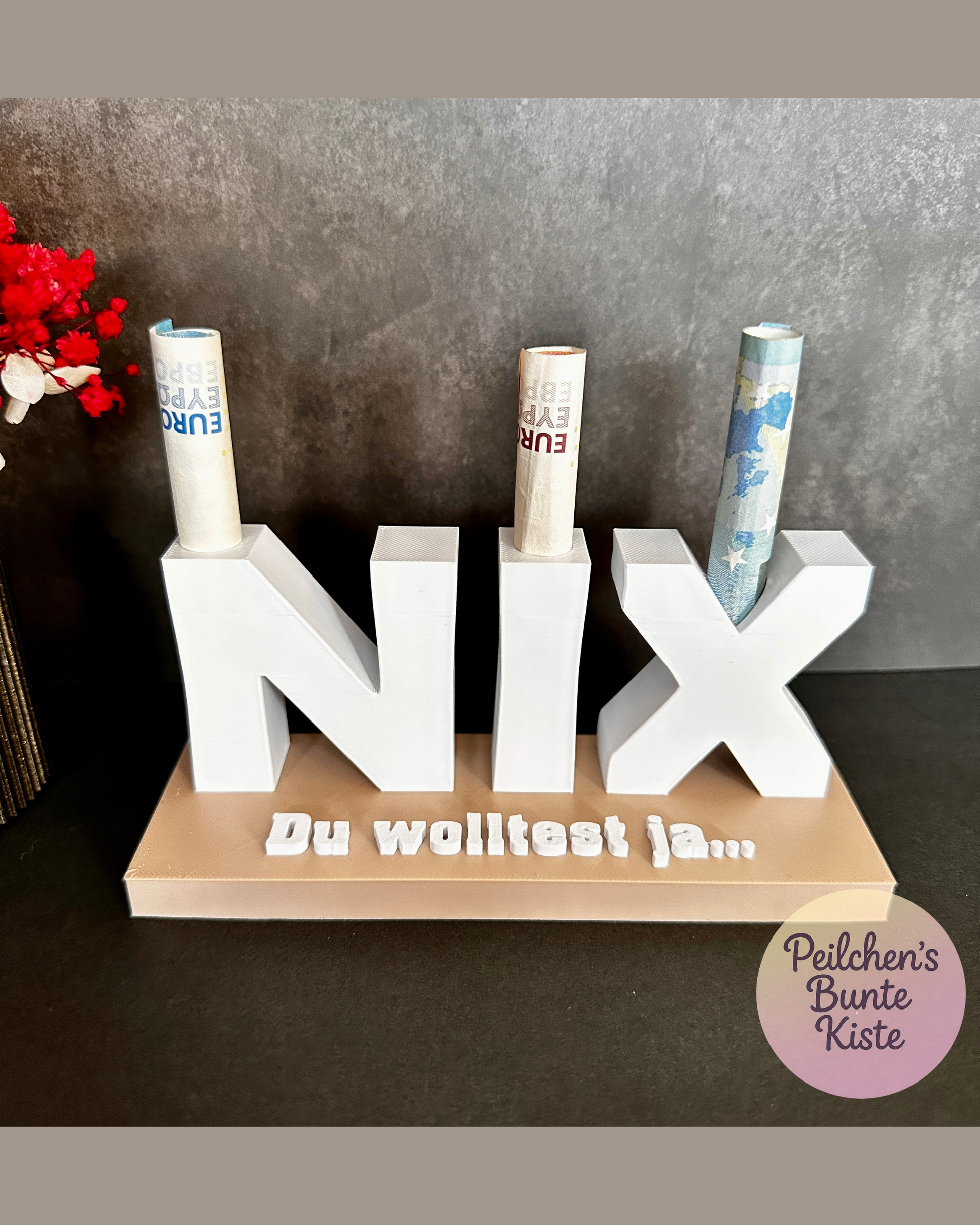 Geldgeschenk „Du wolltest ja nix…“ – originelle Überraschung